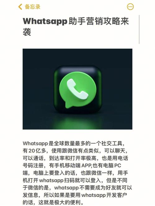 whatsapp群发平台