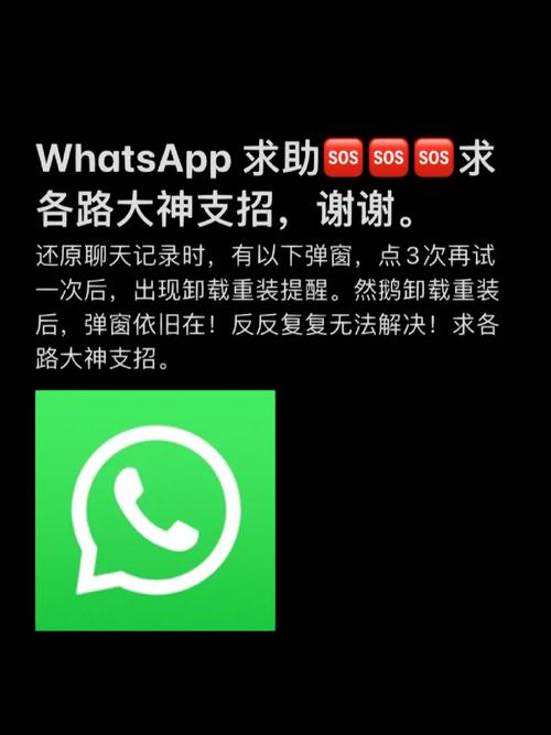 高效解决WhatsApp网页版登录的常见难题