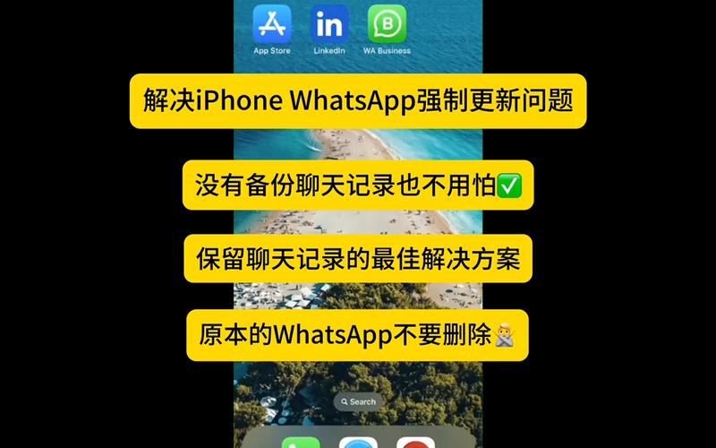 最新WhatsApp版本现已可从官网直接下载