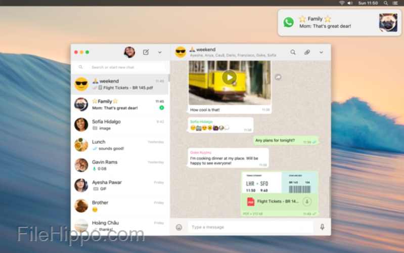 WhatsApp中文版官网正式上线，支持中文用户群体