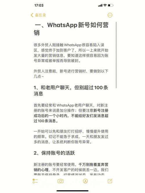 WhatsApp中文用户如何管理存储空间？