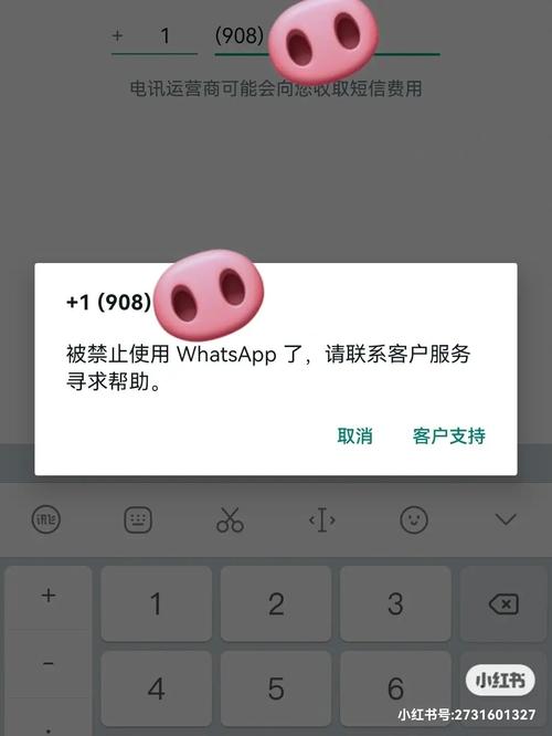 如何顺利完成WhatsApp网页版登录？