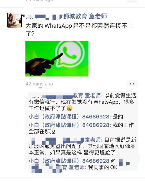 在WhatsApp中文版官网获取最新防护措施