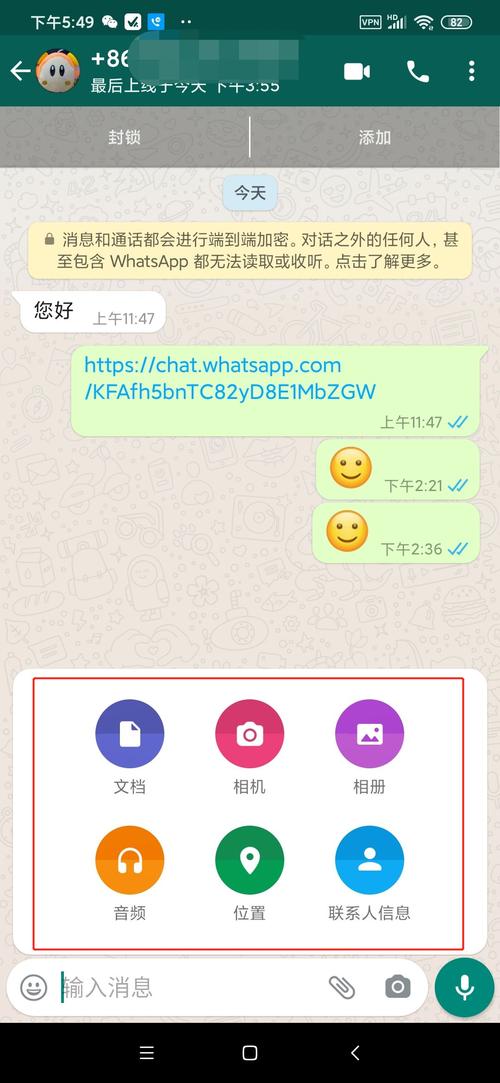 WhatsApp中文版官网上线，下载安装全攻略