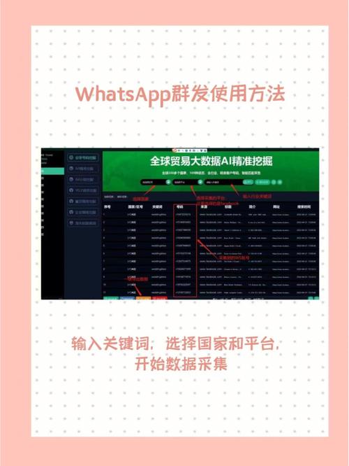 whatsapp群发软件开发