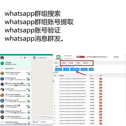 如何通过WhatsApp中文版官网完成账号注册