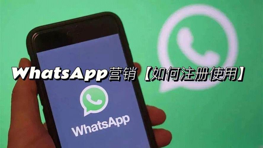 whatsapp最新官方版下载