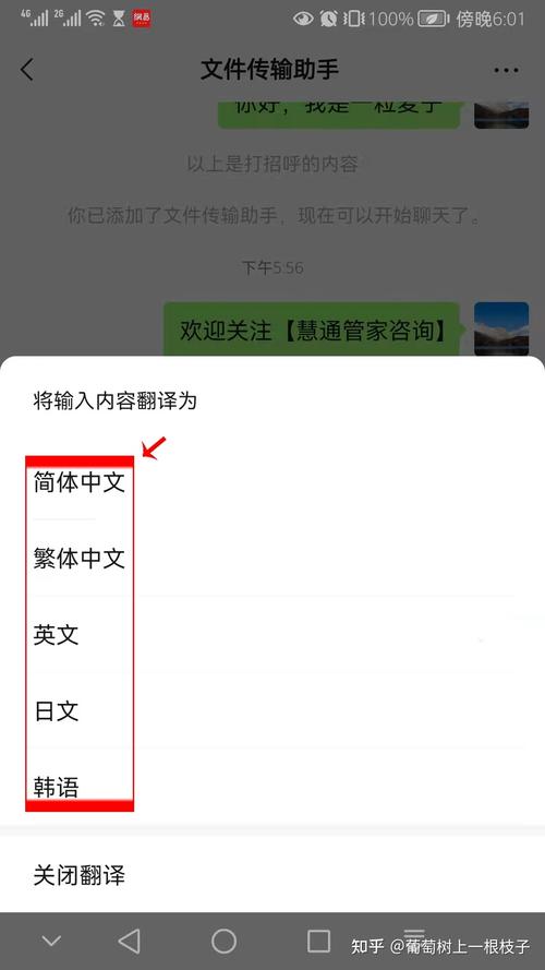 whatsapp聊天如何设置自动翻译