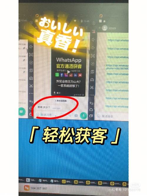 如何在WhatsApp电脑版官网上查看更新日志