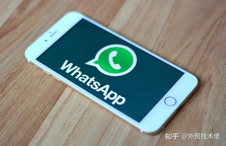 从WhatsApp官网获取最新软件下载链接，确保安全