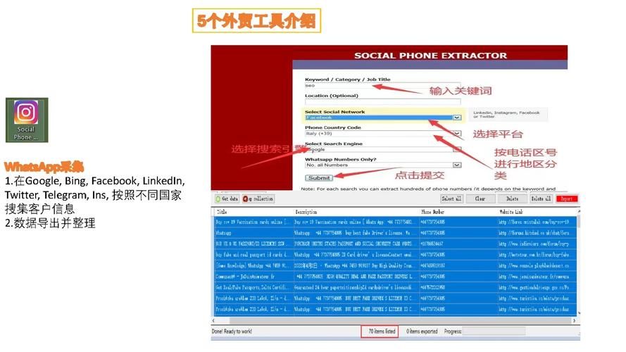 如何通过WhatsApp官方网站进行语言设置