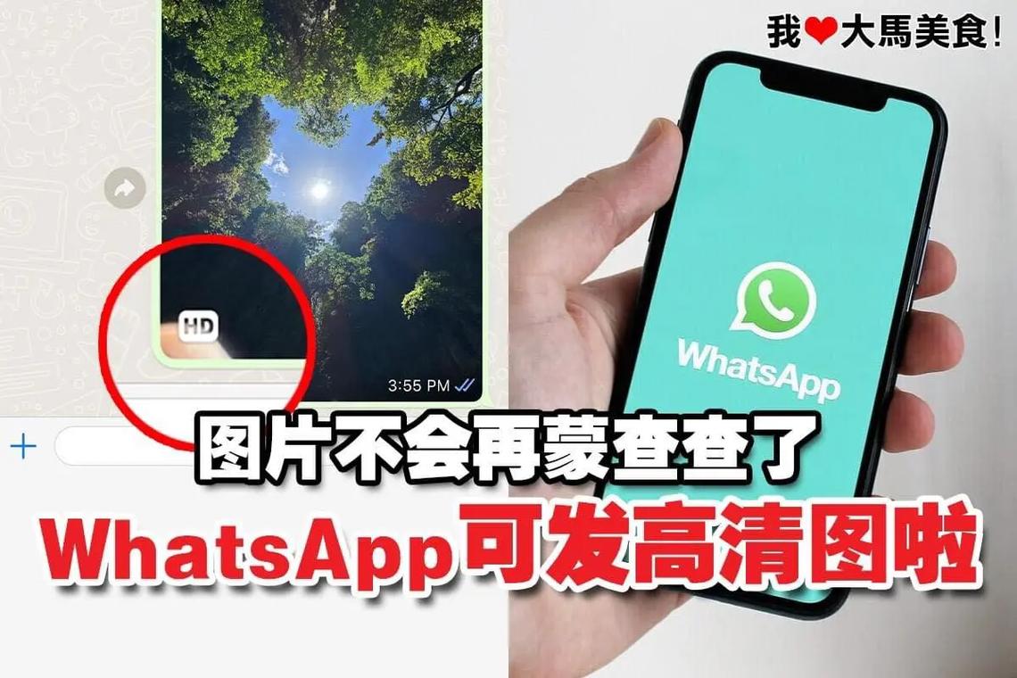 如何通过WhatsApp中文版官网举报垃圾信息？