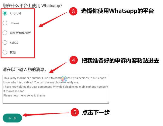 WhatsApp网页版登录过程中断开连接怎么办？