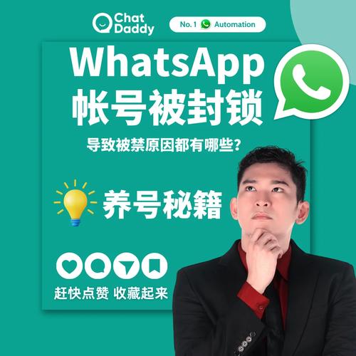 处理WhatsApp网页版登录错误的实用技巧