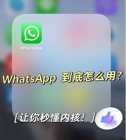 教你如何通过WhatsApp中文版官网轻松下载应用