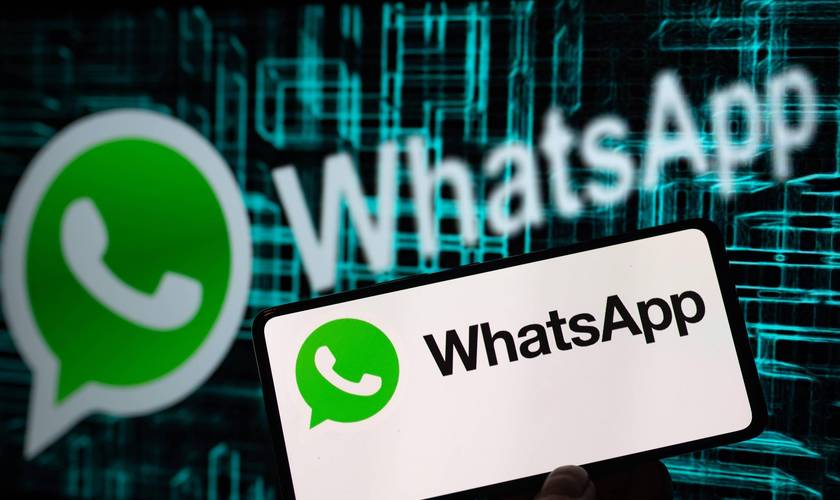 WhatsApp官方网站的用户反馈与修复计划