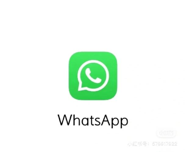 成功登录WhatsApp网页版的必备技巧