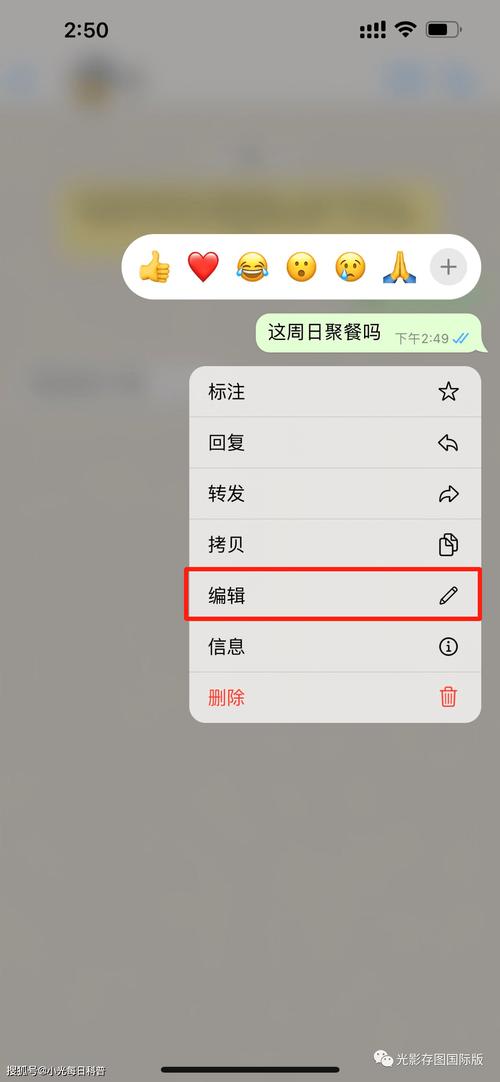 WhatsApp中文版本的快速回复功能介绍