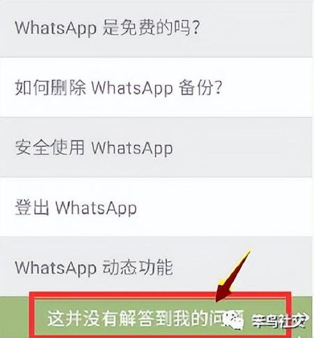 WhatsApp中文电脑版官网版下载常见问题解答