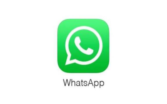 whatsapp手机版下载安卓