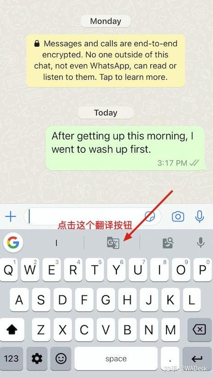 WhatsApp中文版官网使用心得分享，新手必看