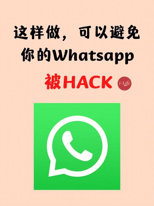 WhatsApp网页版登录时的网络要求及配置建议