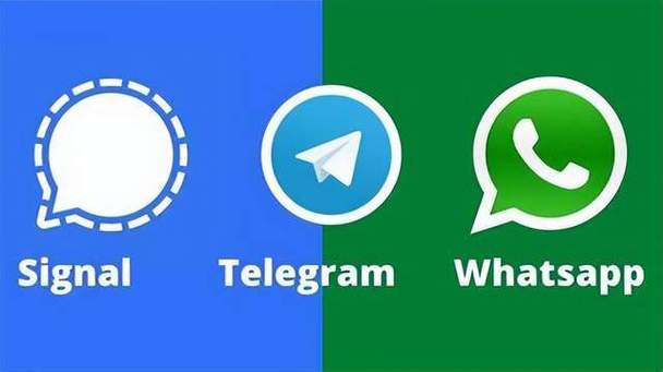 从WhatsApp官网获取最新版应用下载链接，确保安全