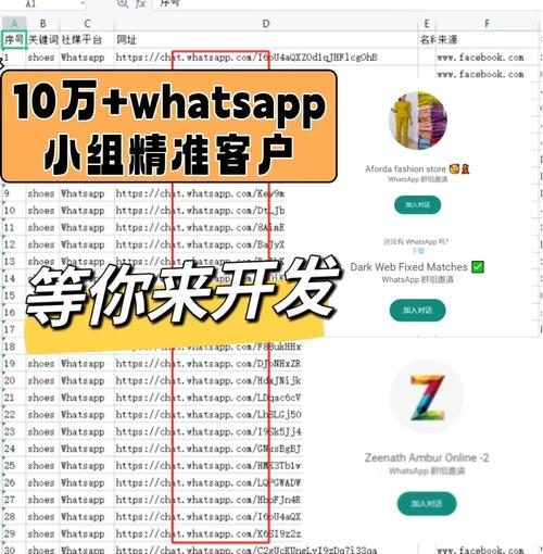 WhatsApp中文版官网发布，新手必看操作指南