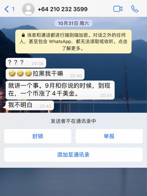 whatsapp被拉黑显示什么