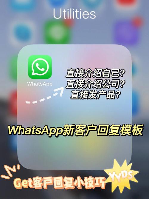 WhatsApp官方网站的应用性能与安全性提升