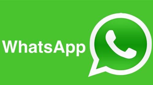 whatsapp手机登录一直显示检索登录信息