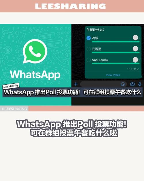 WhatsApp网页版登录需要注意什么？