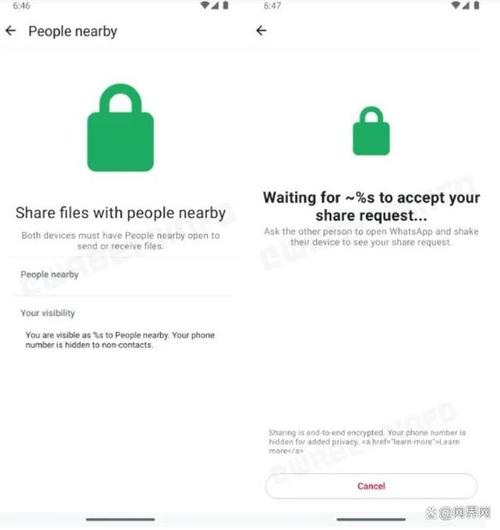WhatsApp中文版的文件共享权限设置