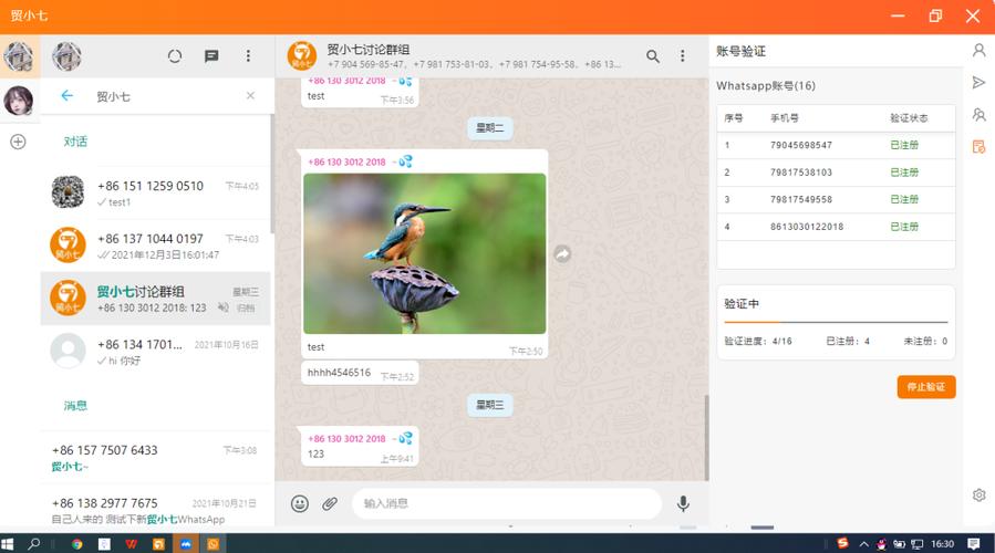 高效登录WhatsApp网页端的技巧与窍门