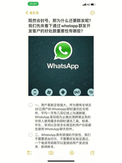 WhatsApp官方网站的用户反馈与修复计划