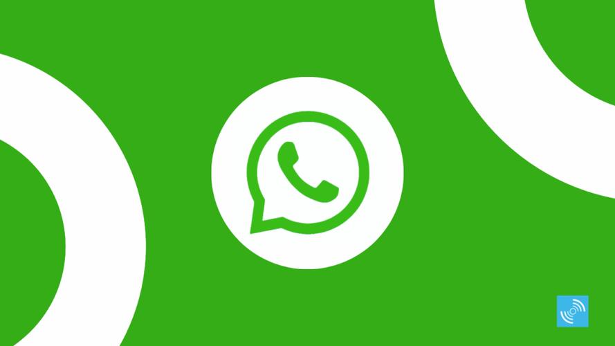 访问WhatsApp官网，获取最新版软件下载地址