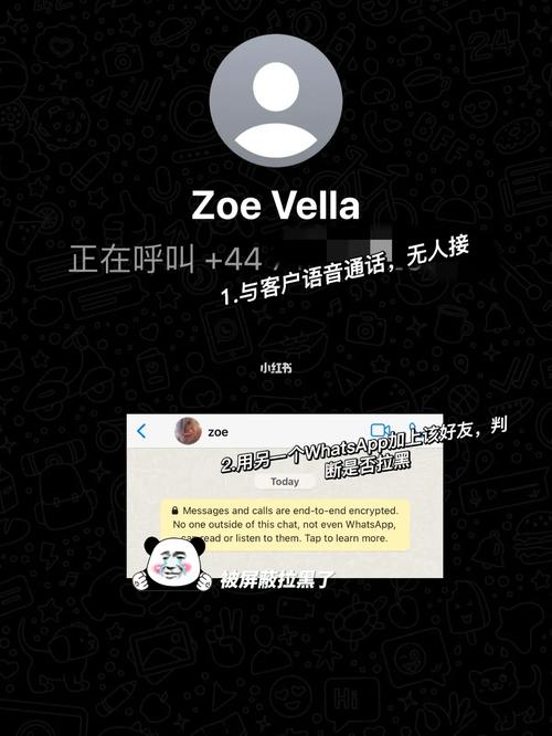 轻松解决WhatsApp网页版登录的故障