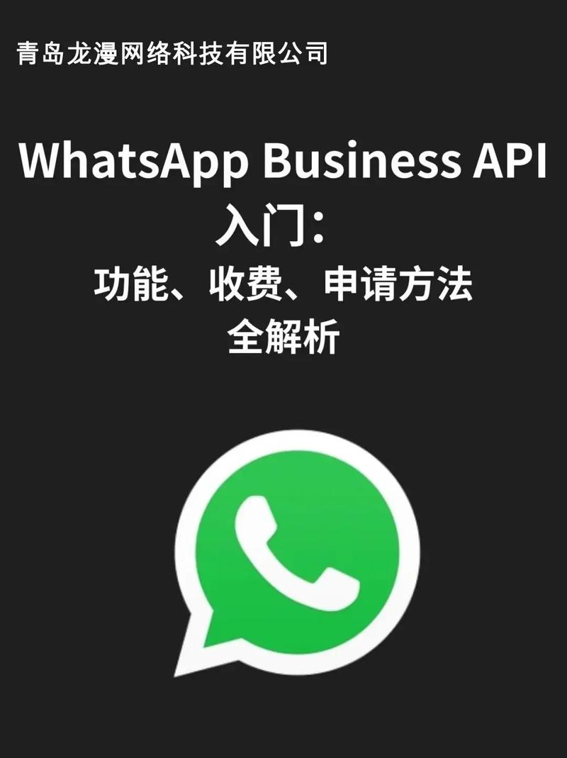 如何通过WhatsApp中文版官网举报垃圾信息？