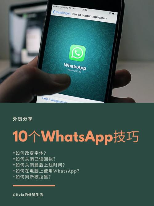 登录WhatsApp网页版的详细操作步骤与技巧