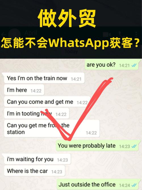 whatsapp能加多少个好友