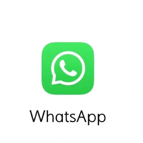 从WhatsApp官网下载安装应用，享受稳定性提升