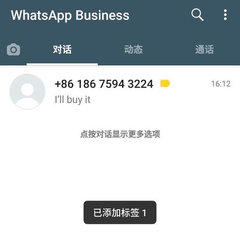 如何通过WhatsApp官网下载解决安装中的常见问题