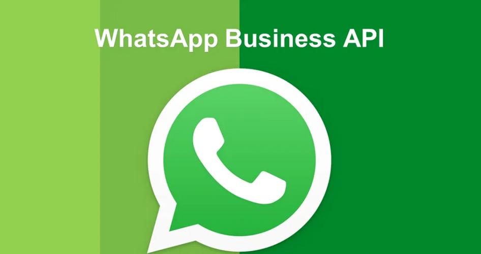 从WhatsApp官网下载最新版应用，享受全新功能