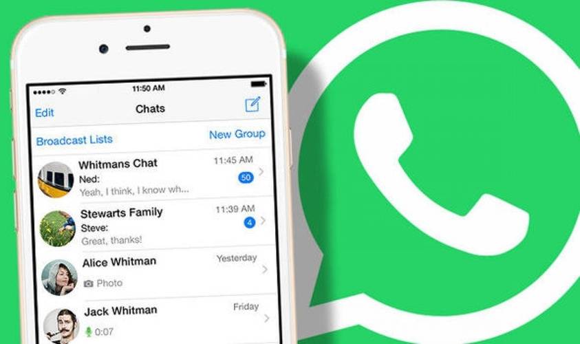 WhatsApp中文版官网使用心得分享，新手必看