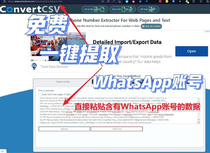 使用WhatsApp网页版登录的注意事项