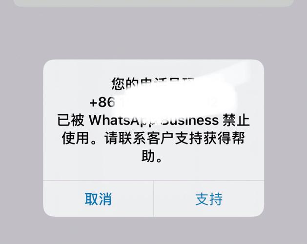 whatsapp群发消息会被封吗