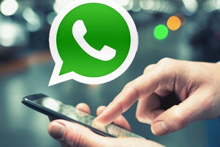 WhatsApp中文电脑版官网版本下载指南