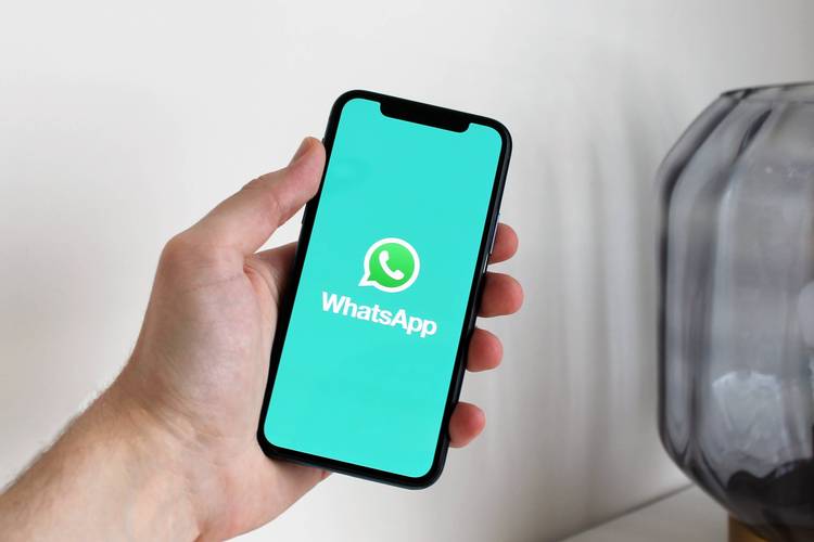 从WhatsApp官网获取客户端下载，享受最新功能